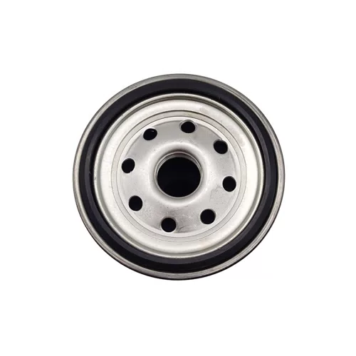 Truck Diesel Engine Fuel Filter For Hot Sales CX1017 FS36229 R010053 088042PS - image 6