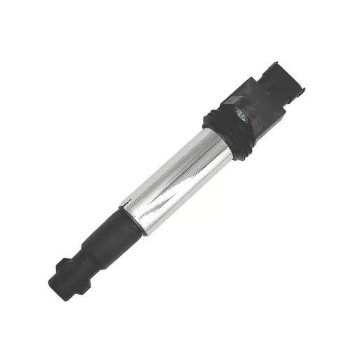 3705010-10 Ignition Coil For LADA Priora Estate Saloon Bobinas De Ignicion - image 5