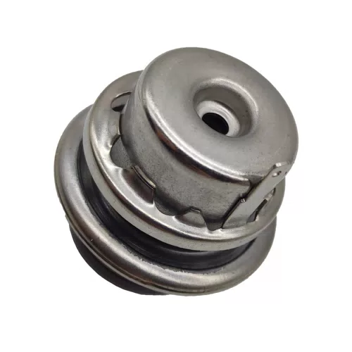 280160671 Fuel Pressure Regulator For Cherry QQ3 - image 4