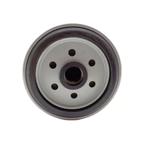 Factory Price Fuel Filter 1457434310 Filter De Aceite - image 6