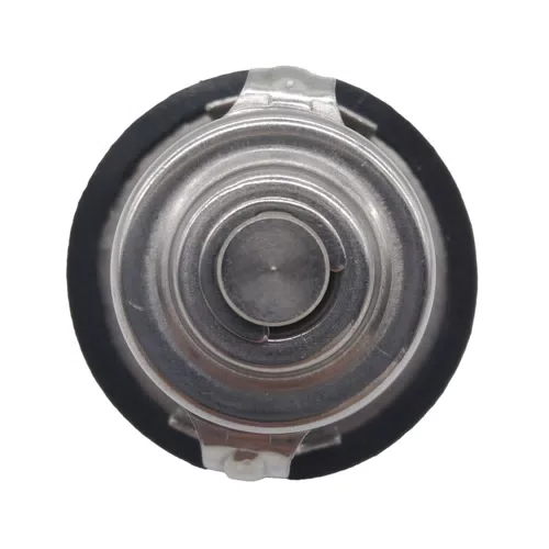21200-4M500 Engine Coolant Thermostat For Nissan Sunny - image 6