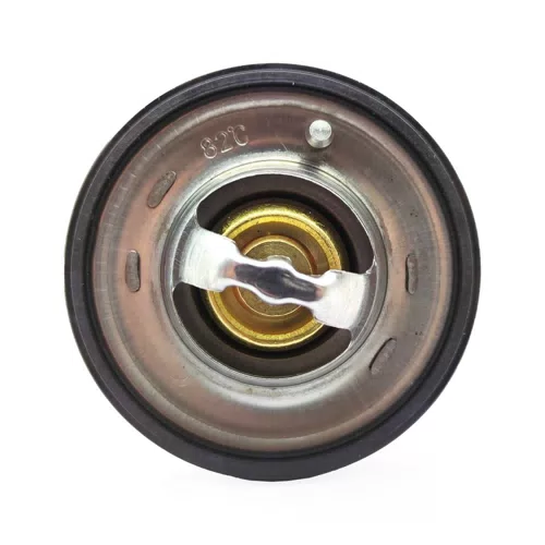 21200-96002 Engine Coolant Thermostat Assembly For Nissan Pick Up - image 5