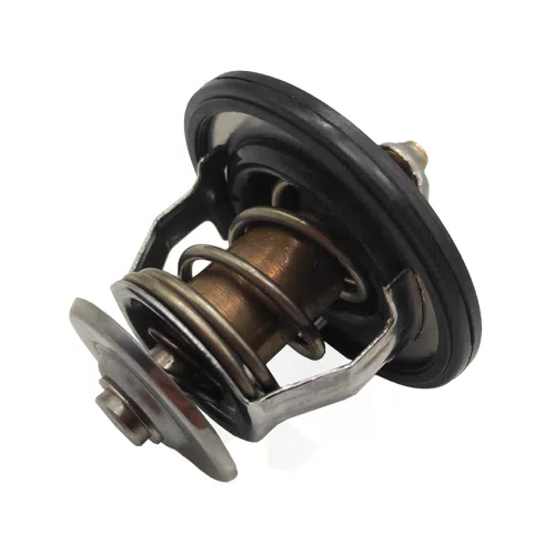 25500-22050 Engine Coolant Thermostat Assembly For Hyundai Coupe