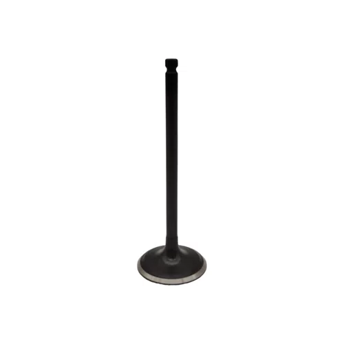 Engine Exhaust Valves Replace Compatible Engine Valve for 2004-2021 Subaru Intake Valve 13201AA371