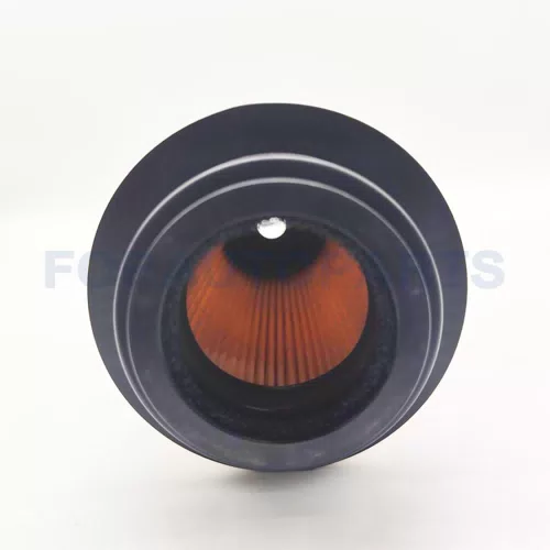Truck Diesel Engine Fuel Filter 3004473C92 3762578 P550821 for INTERNATIONAL Donaldson FILTER - image 5