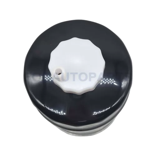 New Fuel Filter 31922A9000 Filtro De Combustible for Hyundai/Kia 31922A9000 - image 3