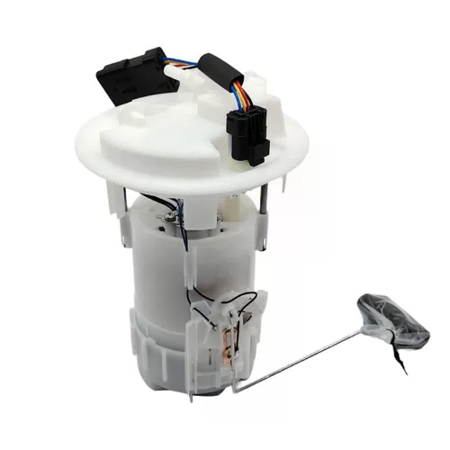 Best Price Fuel Pump Assembly for Peugeot 207 Citroen C3 702700710