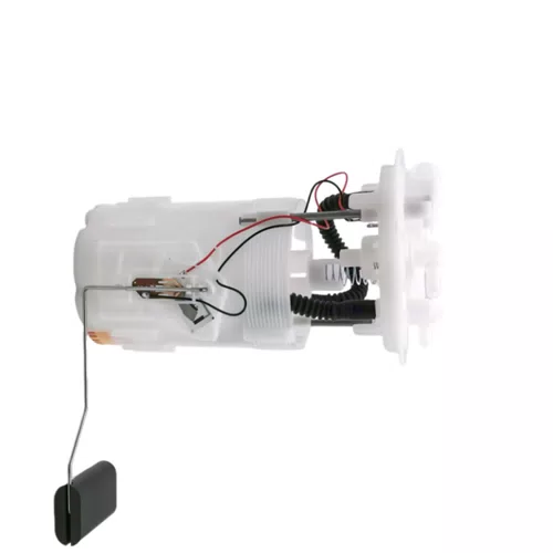 High Quality Fuel Pump Assembly for Renault 8200085799 - image 4