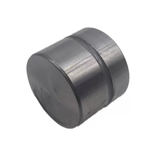 Valve Tappet 96376400 for Chevrolet Cruze Hatchback - Europe 2012-2017 - image 4