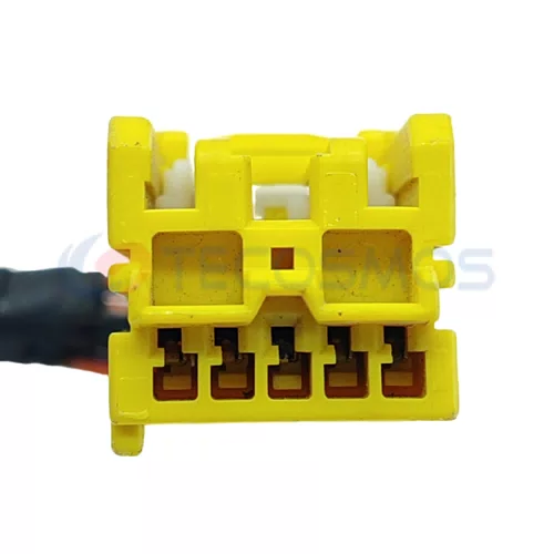 Auto Parts License Plate Lamp Cable Harness Automotive Electrical Shell Wire Connector for Volkswagen Audi 2pin Female CT2-0213M