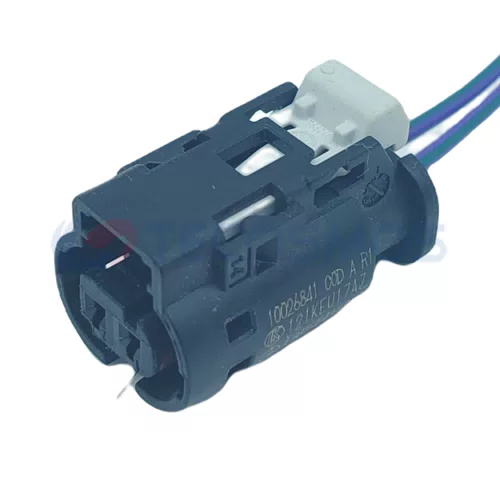 Wire Harness Plug of Automobile Waterproof Connector 2 Pin Female 09405621
