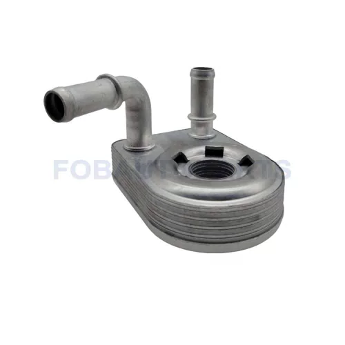 New High Quality Oil Cooler Assembly for Ford DS7Z-6B856-A
