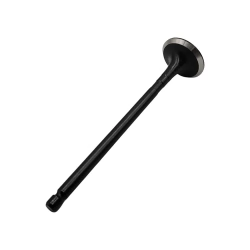 New Auto Parts MD15569 MD303177 Engine Valve for Mitsubishi Stratus Cirrus 2.4L 16 Auto Engine Parts