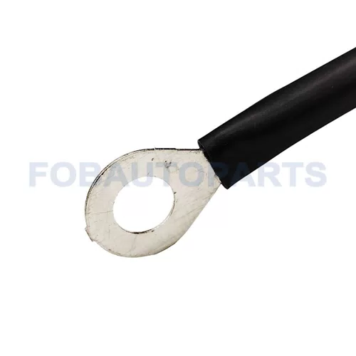 Electronic Controller for 4cly Engine Lpg Cng Autogas AEB MP48 - image 4