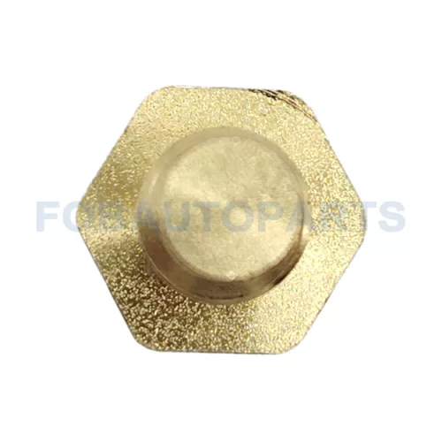Coolant Temperature Sensor for Great Wall 2008-2019 Haval H3 H5 2010-2017 SMW250119 - image 6