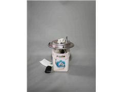 Fuel Pump Assembly 0140-4257 311100S100