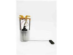 Fuel Pump Assembly 0140-5093 77817 172024101R MP2010G 0580203314 0580203315